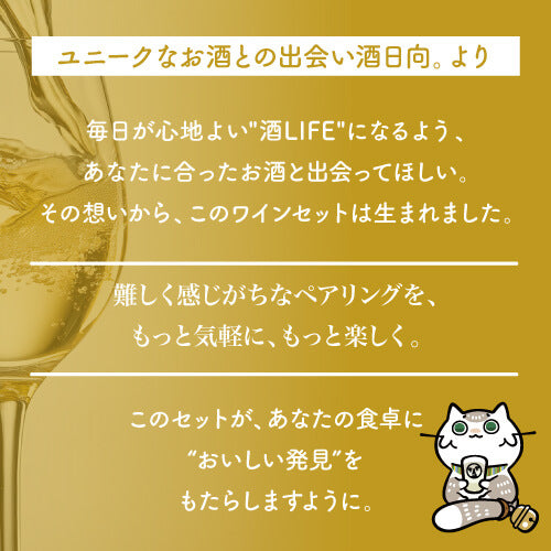 【訳あり48%OFF】家飲み革命!ペアリングワイン11本セット【田邉公一ソムリエ監修ペアリング】