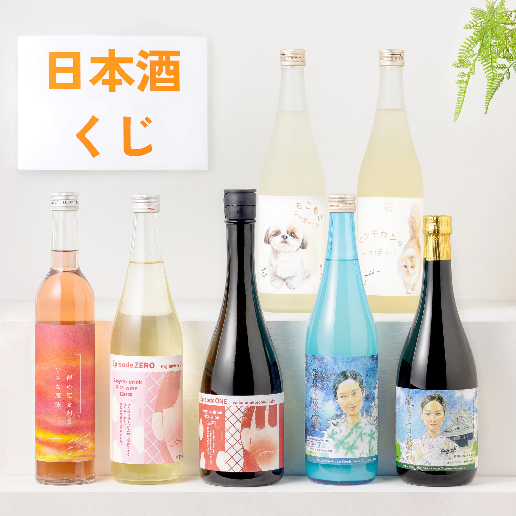 女子会を彩る日本酒福袋 2本入 送料無料