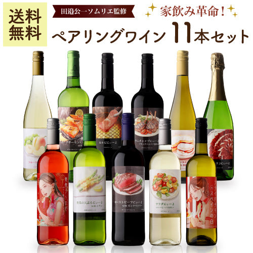 【訳あり48％OFF】家飲み革命！ペアリングワイン11本セット【田邉公一ソムリエ監修ペアリング】