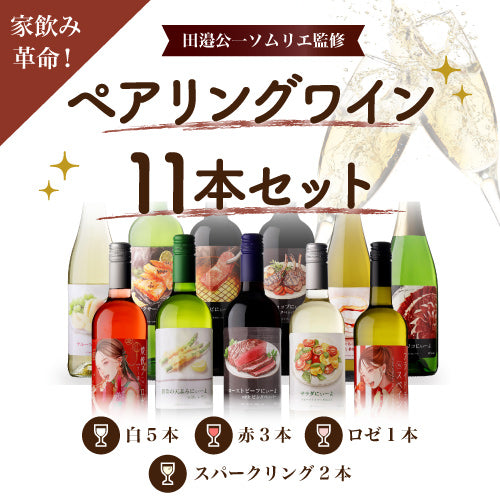 【訳あり48％OFF】家飲み革命！ペアリングワイン11本セット【田邉公一ソムリエ監修ペアリング】