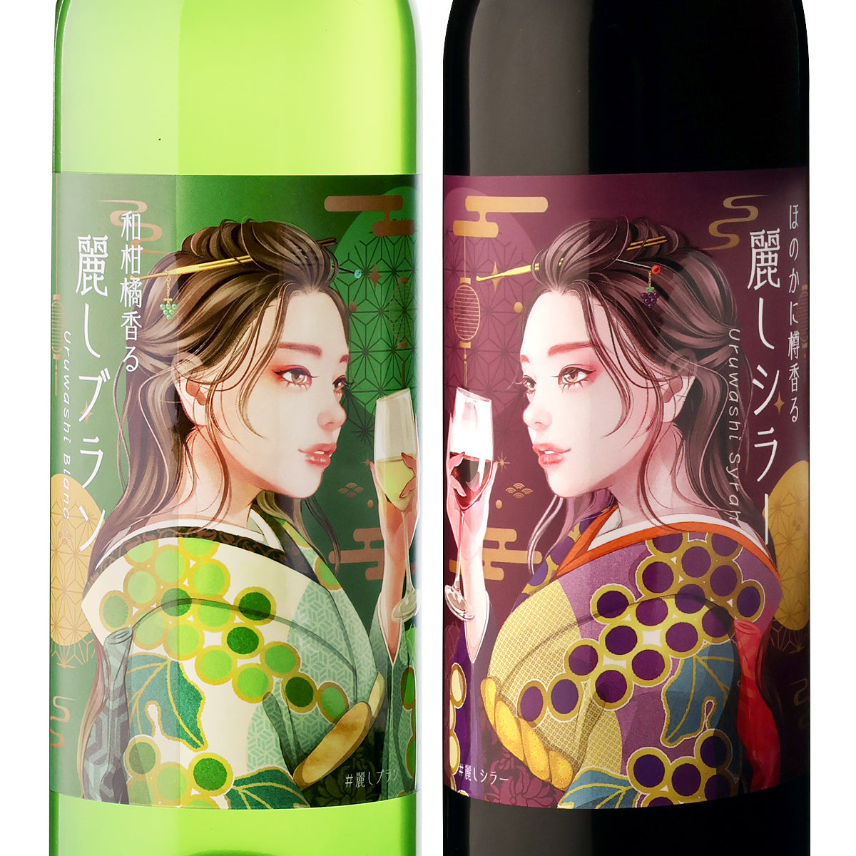 【数量限定希少】＜ほのかに樽香る 麗しシラー2019 赤ワイン＞＜和柑橘香る 麗しブラン2024 白ワイン＞2本セット 送料無料