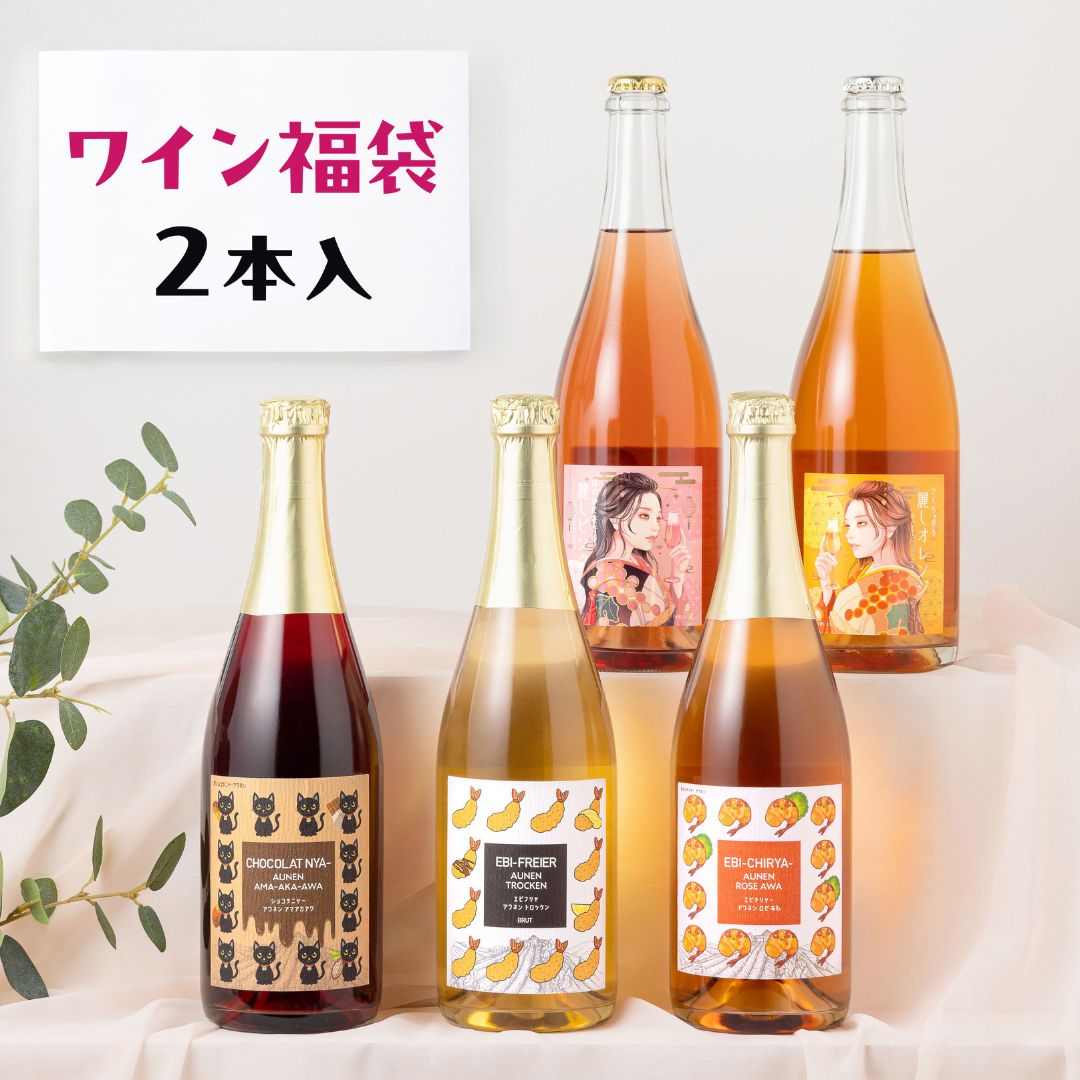 泡好き必見！乾杯がもっと特別になるスパークリング福袋 2本入 送料無料